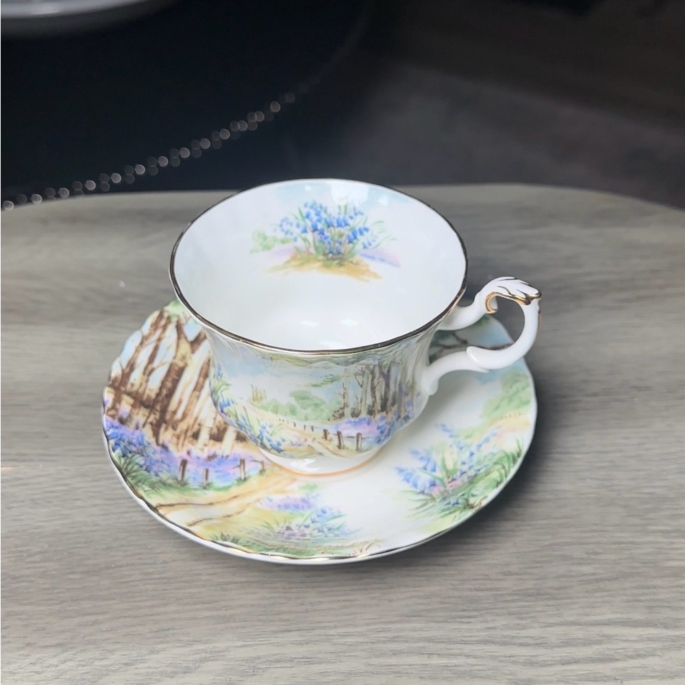 Royal Albert Bluebell Wood Teacup & Saucer Country Scene Series Bone China